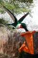 Kids_DFWzoo_3-2016 (26)